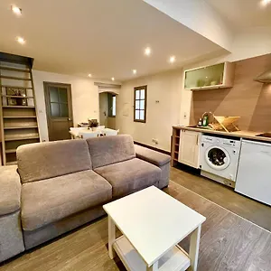  Appartement Superbe 2p Mezzanine Au Coeur Du Vieil